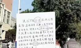 合肥男友爆料事件最新消息,真相大白，情感纠葛引热议