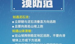 奶茶最新爆料新闻报道文案,揭秘网红奶茶背后的秘密与最新爆料